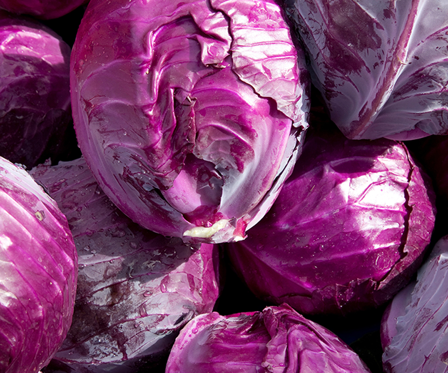 Rotkohl_900